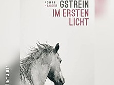 Norbert Gstrein: Im ersten Licht
