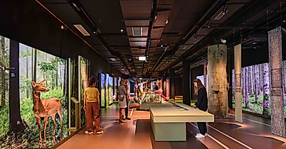 poi-botschaftderwildtiere-deutsch-wildtier-stiftung_00033_christian_brandes-web-2500x1500