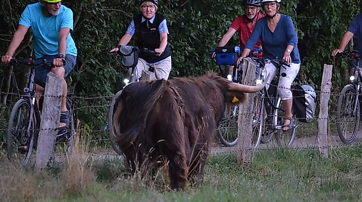 STADTRADELN  Neumünster per Rad entdecken Tour 1