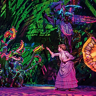 Fluoriszierende Effekte im Dschungel, Auftritt Jane im Disney Musical Tarzan