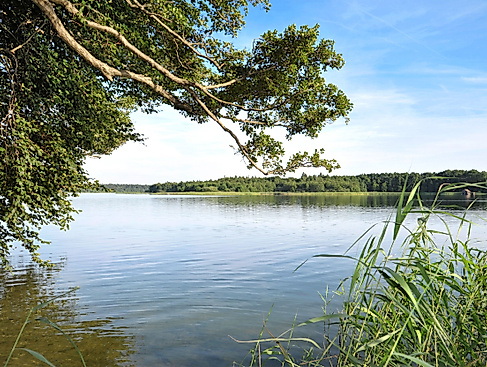 World Ranger Day: Fahrradtour mit dem BRA Schaalsee