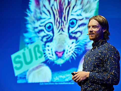 Mann der vor einer Leinwand steht auf der eine Präsentation läuft in der ein Katzenbaby zusehen ist