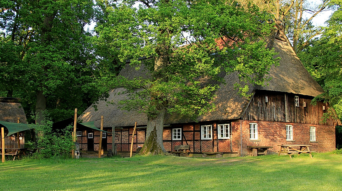 Kinder erleben: Ehrhorner Waldabenteuer