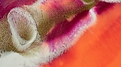 resin pur