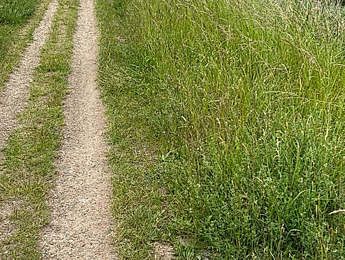 Kleiner Jakob-Pilgerrundweg um die Lübecker Innenstadt