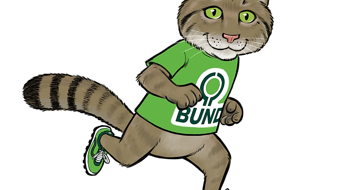 Wildkatzenlauf 2025