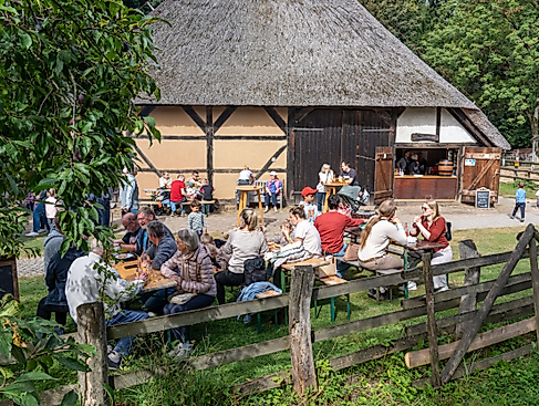 milch-honig-24825-749389