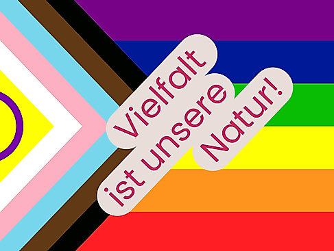 250604_Pride-Webseite