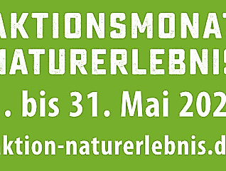 Limonaden aus Gartenkrätern