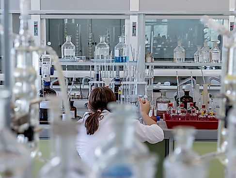 Biotechnologie - Wir stellen eigenen Joghurt her