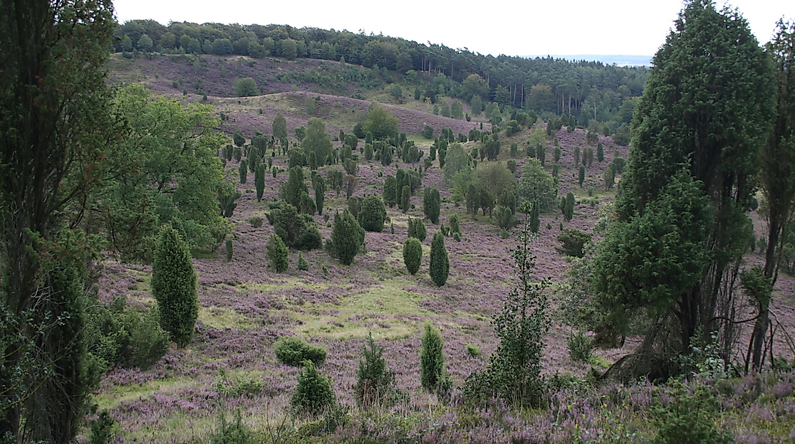 Die Entstehung der heimischen Landschaft