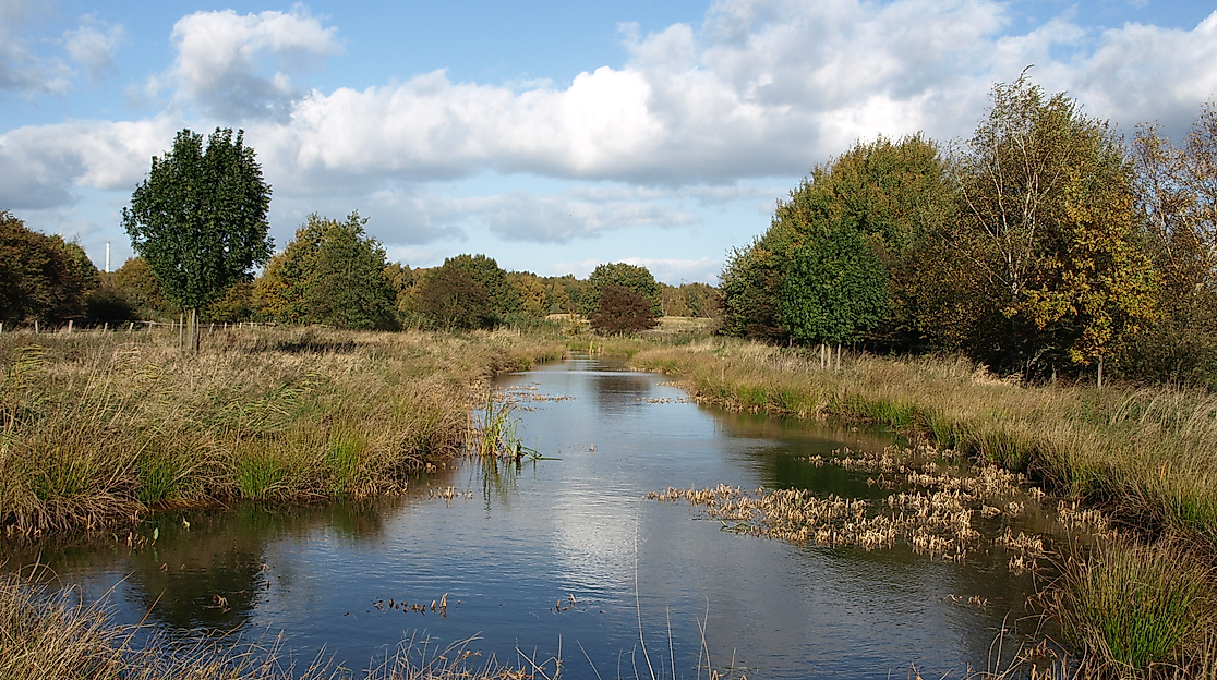 boberger-duenen_gewaesser_c-infohaus-boberg-loki-schmidt-stiftung