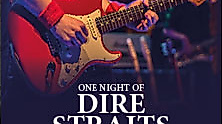 One Night of Dire Straits - Tribute Show