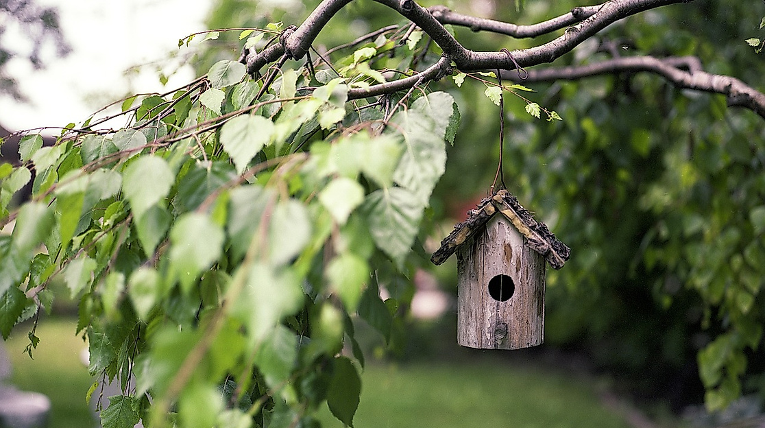 Vogelhaus am Baum