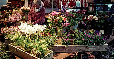Isemarkt