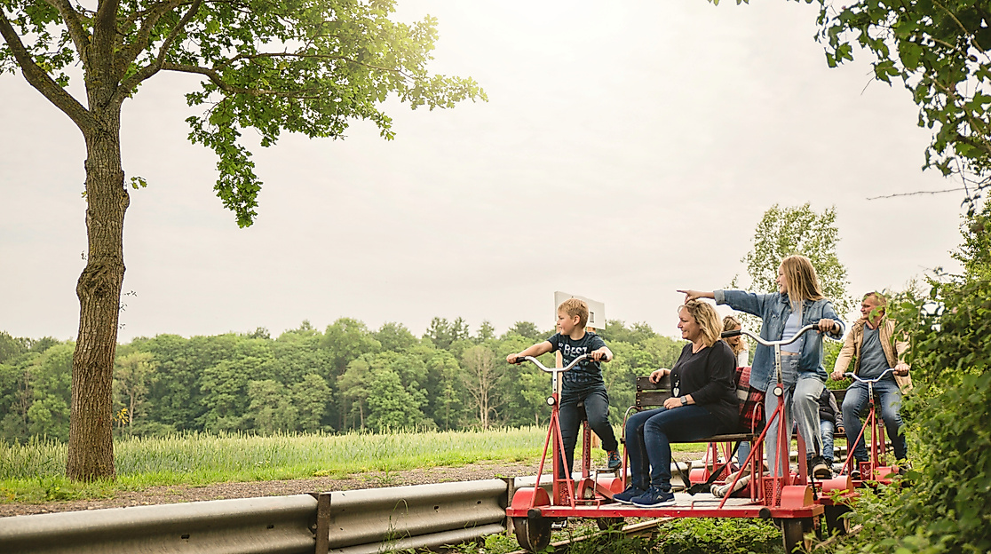 Rapsblütenfahrt der Naturpark-Draisine