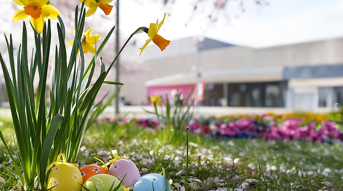 Ostereiersuche im Kurpark Bad Bevensen