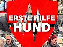 Rudel - Erste Hilfe am Hund