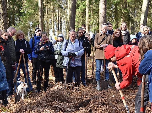 Vor der Pflanzung wird es eine Einführung geben!