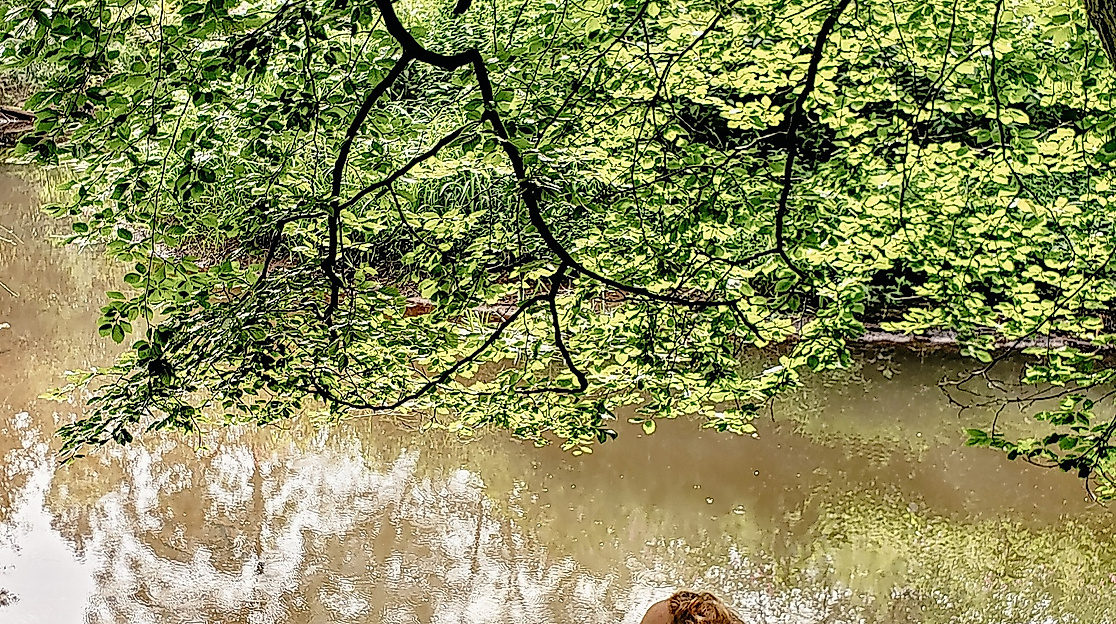 Sabrina im Wald_klein