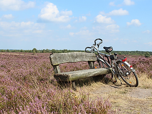 Radtour mit der Bürgermeisterin Meike Moog-Steffens