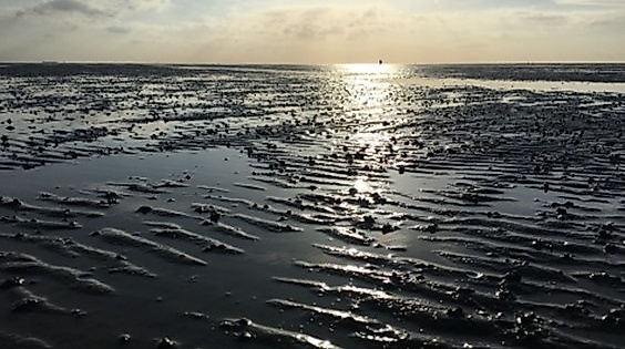 Wattspaziergang