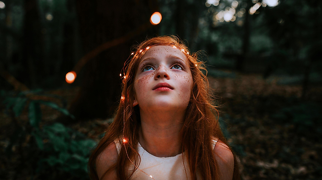 Foto von Matheus Bertelli: https://www.pexels.com/