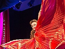 Galli Silvester Show