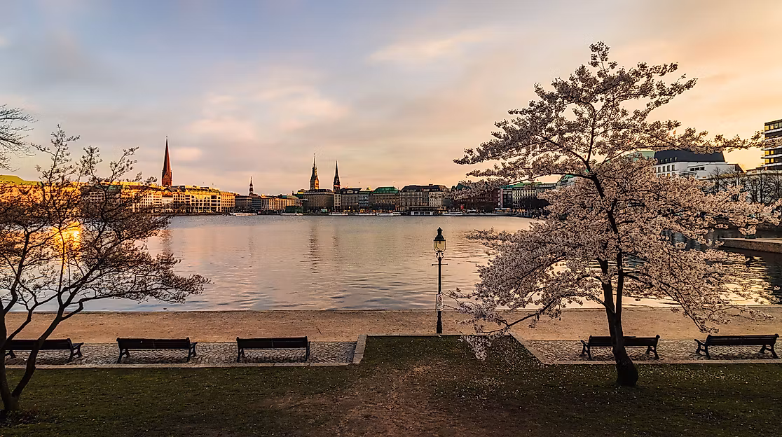 Kirschblüte Binnenalster Hamburg