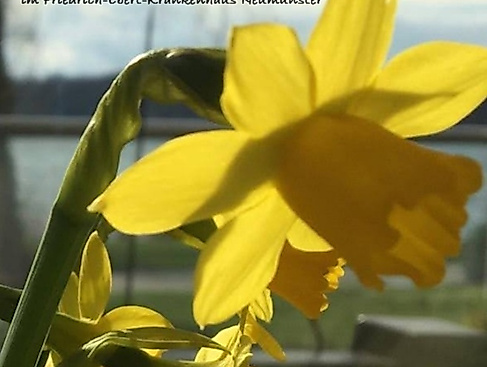 Ostergottesdienst im Friedrich-Ebert-Krankenhaus Neumünster