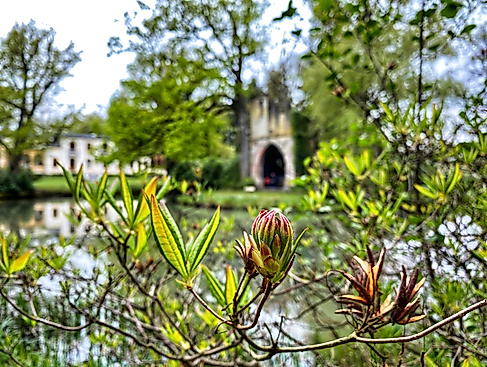 Führung Breidings Garten Soltau