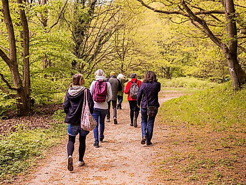 Lerne essbare Kräuter und Bäume auf einem Spaziergang zum höchsten Punkt der Gemeinde Scharbeutz kennen und stelle danach Wildes Sushi her.