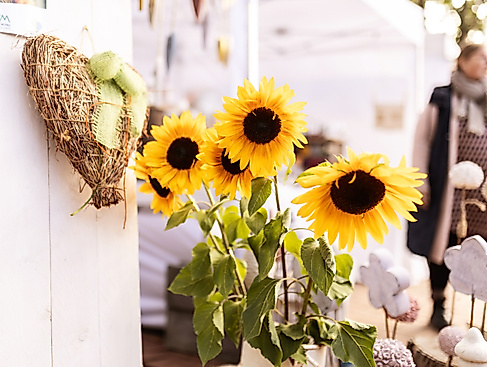 Malenter Landmarkt 2026