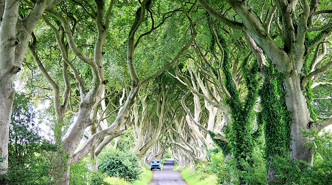 Oliver Lück Aufmacher