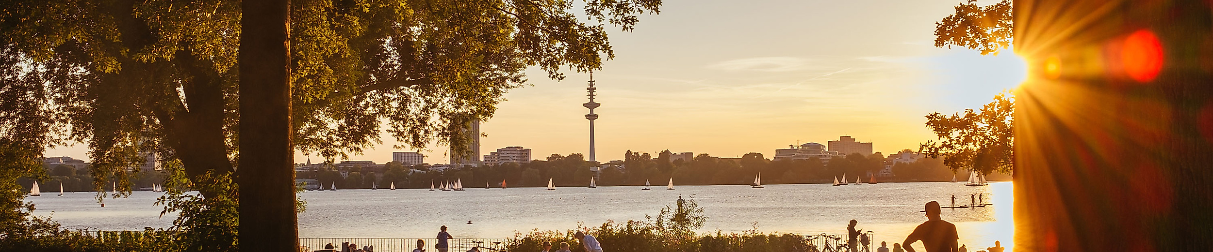 Sonnenuntergang im Alsterpark mit Blick durch Bäume auf entspannte Menschen an der Außenalster