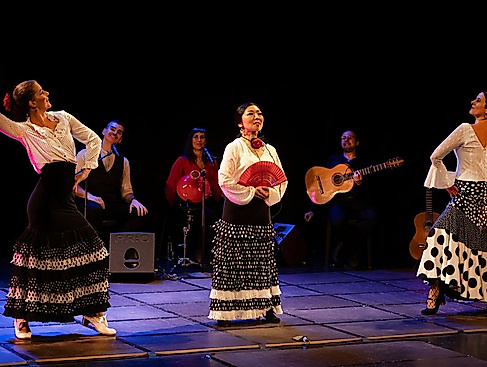 Mi Mundo Flamenco
