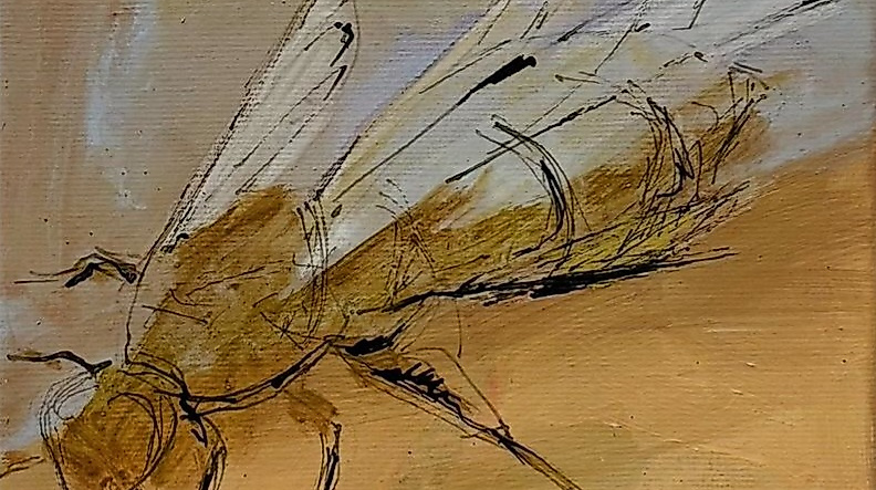 Fliege von waltraud stumme