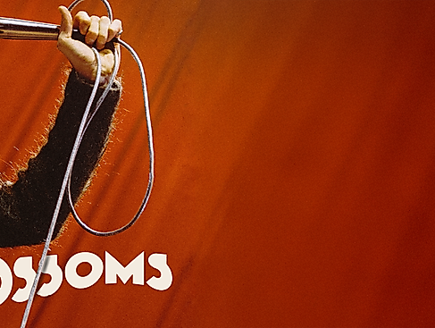 Blossoms - Support: Arkayla