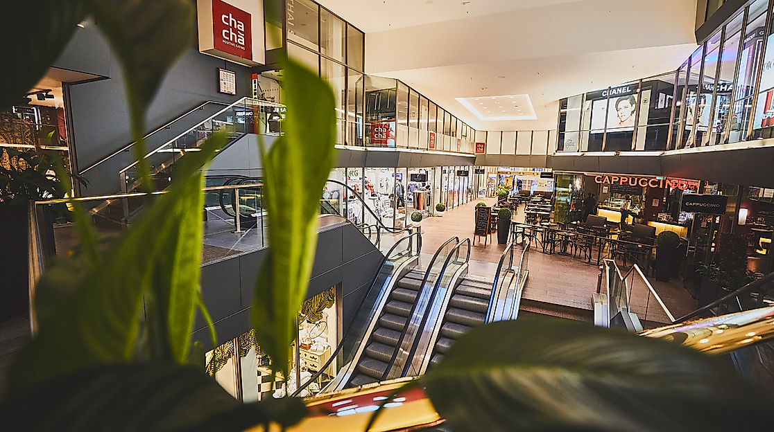 hamburgerhof_c-2018-thisisjulia-photography-6