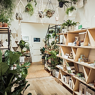 Winkel van Sinkel