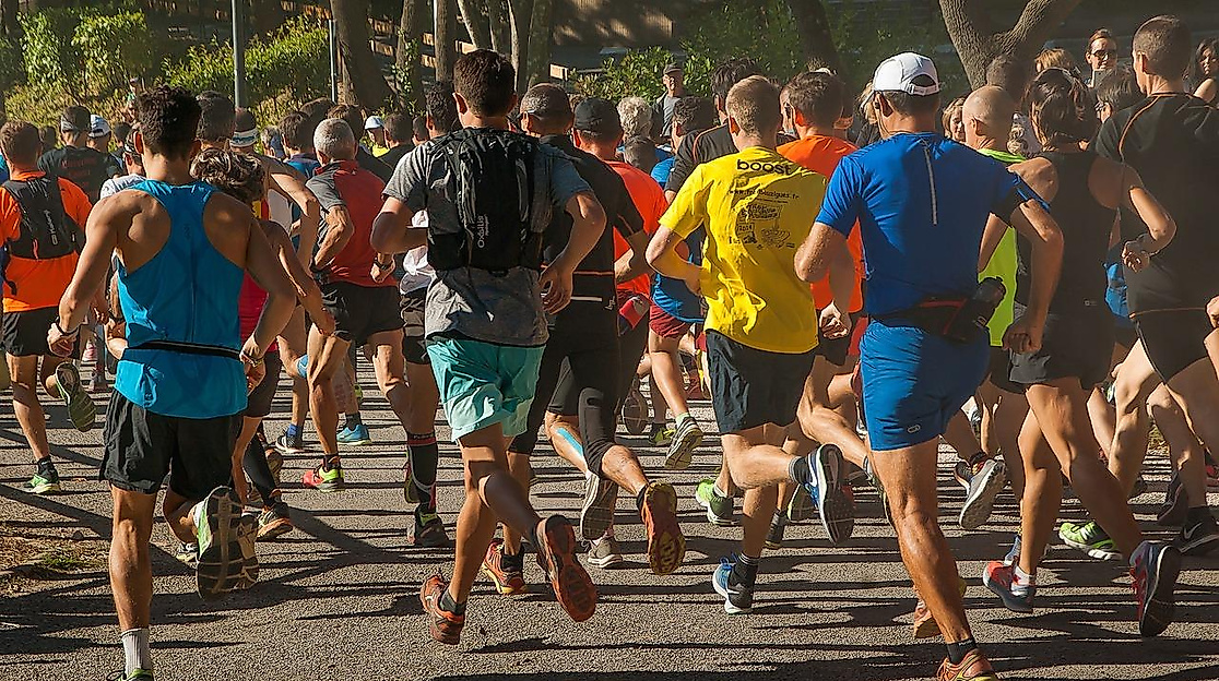 Bild von jackmac34 auf pixabay