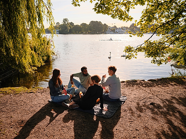 Gruppe beim Picknick am Alsterufer im Sommer mit Blick auf Boote und Sonne auf dem Wasser