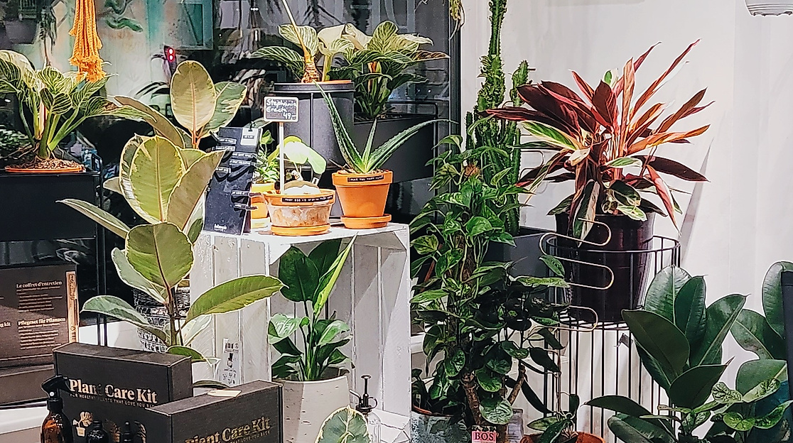 image00001-c-casou-greenery