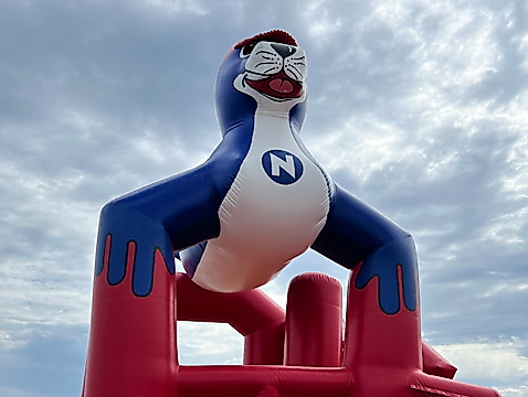 DLRG-Nivea Strandfest