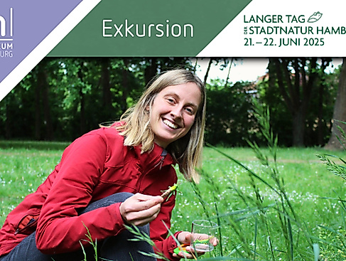 Exkursion zum Langen Tag der Stadtnatur in Lüneburg
