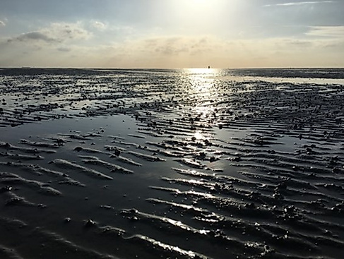 Wattspaziergang