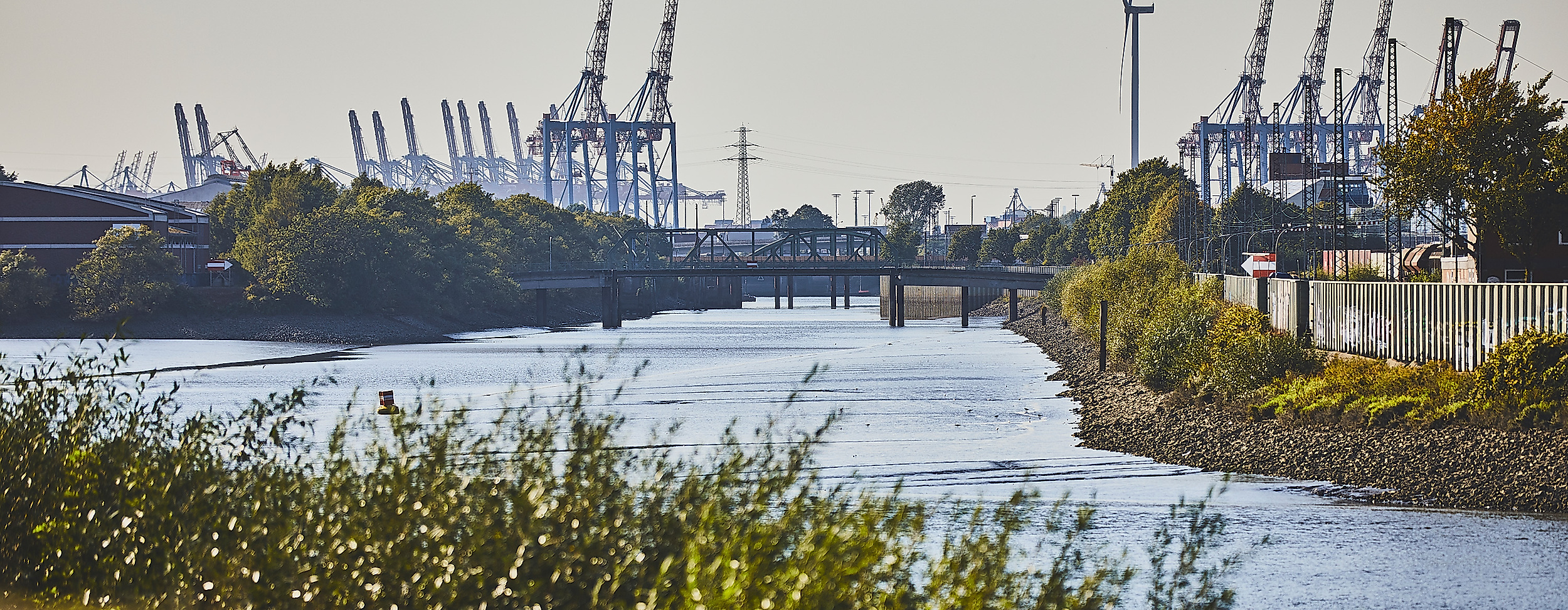 Sommerlicher Blick über den Veddel Spreehafen mit Kränen im Hintergrund und grüner Uferbepflanzung.