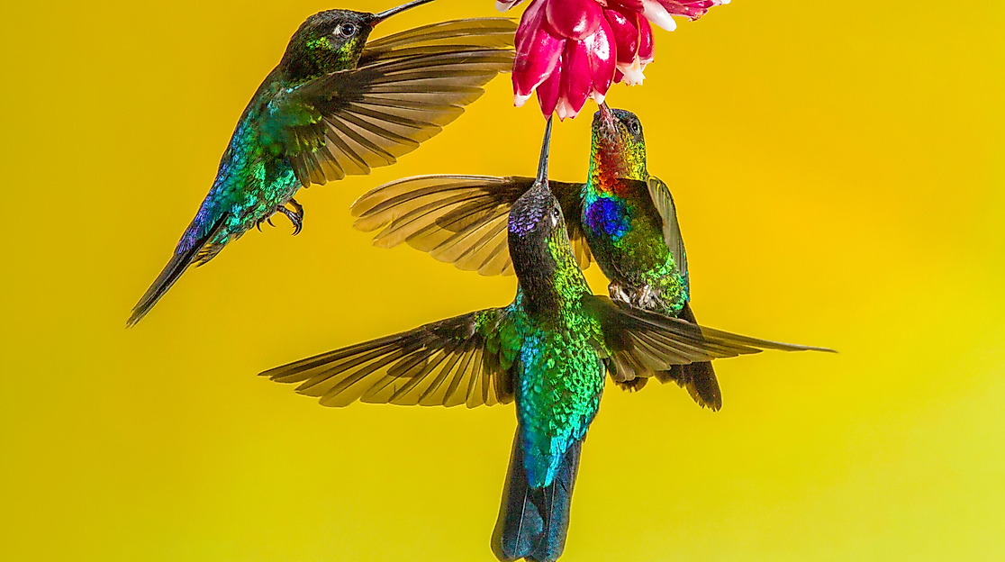 Es ist nicht leicht inoperabilities Rinus Baak Dreamstime com quer