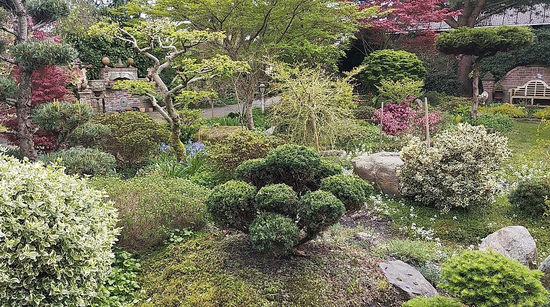 Büsche und Bäume im Garten Mekelburg