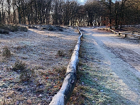 Pilgern durch die Jahreszeiten